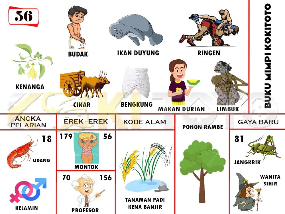 buku mimpi erek erek togel 56